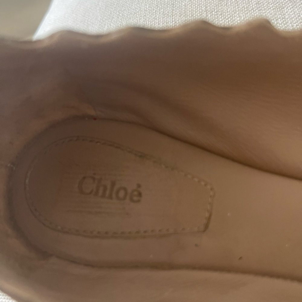 Chloe - Picture 2 of 4